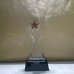 Star Trophy Plaque Award Cup